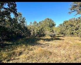 TBD County Road 357 - Photo 9