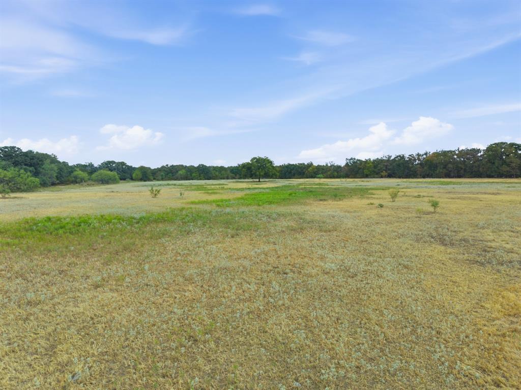TBD Interstate 20 Highway - Photo 10