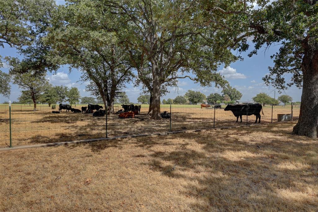 224 County Road 3625 - Photo 26
