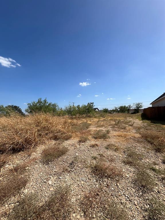 5201 Farnsworth Avenue - Photo 3