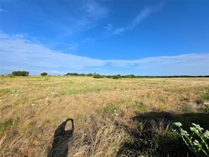 Lot 135 PH 2 Waggener Ranch Road - Photo 4