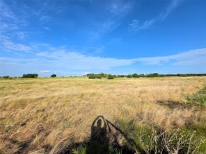 Lot 135 PH 2 Waggener Ranch Road - Photo 5