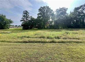 TBD 271/300 Highway - Photo 20