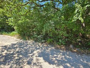 Lot 2 Bird Hill Drive - Photo 4