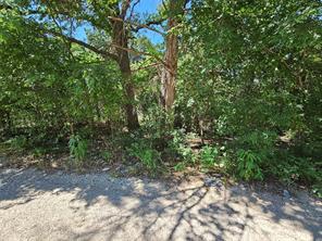 Lot 2 Bird Hill Drive - Photo 5