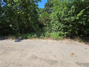 Lot 1 Bird Hill Drive - Photo 3