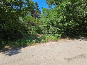 Lot 1 Bird Hill Drive - Photo 4