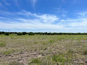 1005 White Bluff Drive - Photo 3