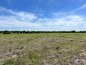 1005 White Bluff Drive - Photo 5