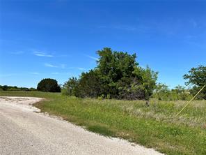 1005 White Bluff Drive - Photo 9