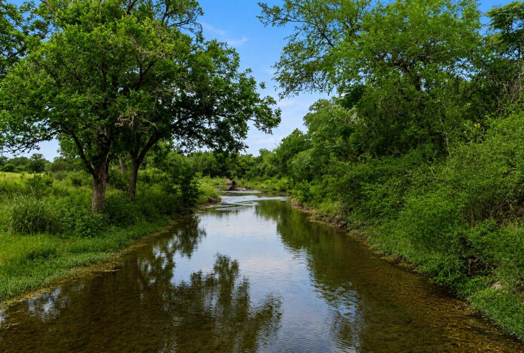 000 Nutty Brown Road - Photo 7