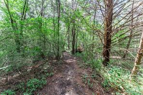 29993 State Highway 64 - Photo 31