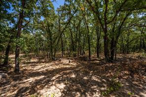 1714 County Road 1886 - Photo 11