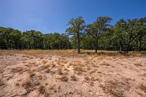 1714 County Road 1886 - Photo 12