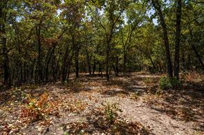 1714 County Road 1886 - Photo 15