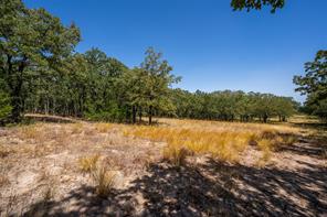 1714 County Road 1886 - Photo 16