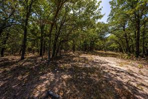 1714 County Road 1886 - Photo 18
