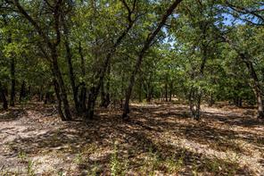 1714 County Road 1886 - Photo 6