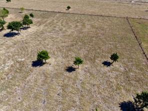 2675 Dowell Road - Photo 6