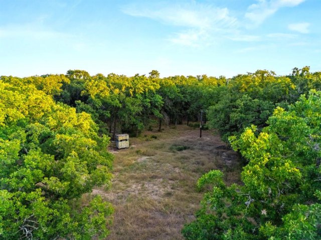Longhorn Parkway & Highway 31