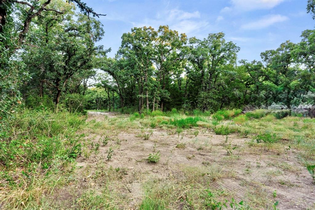 Longhorn Parkway & Highway 31 - Photo 10