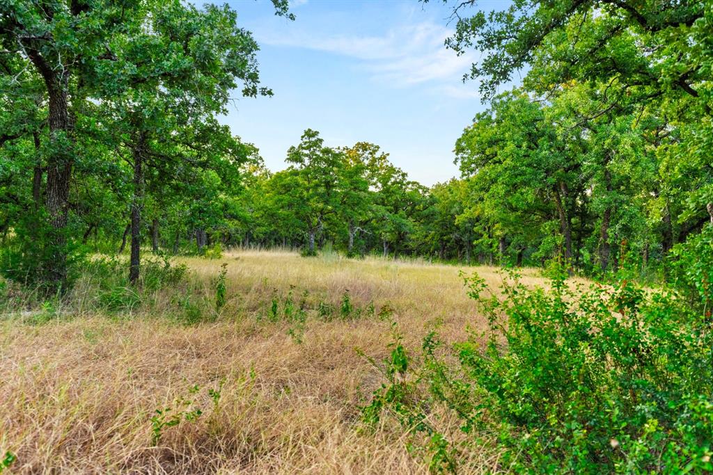 Longhorn Parkway & Highway 31 - Photo 12