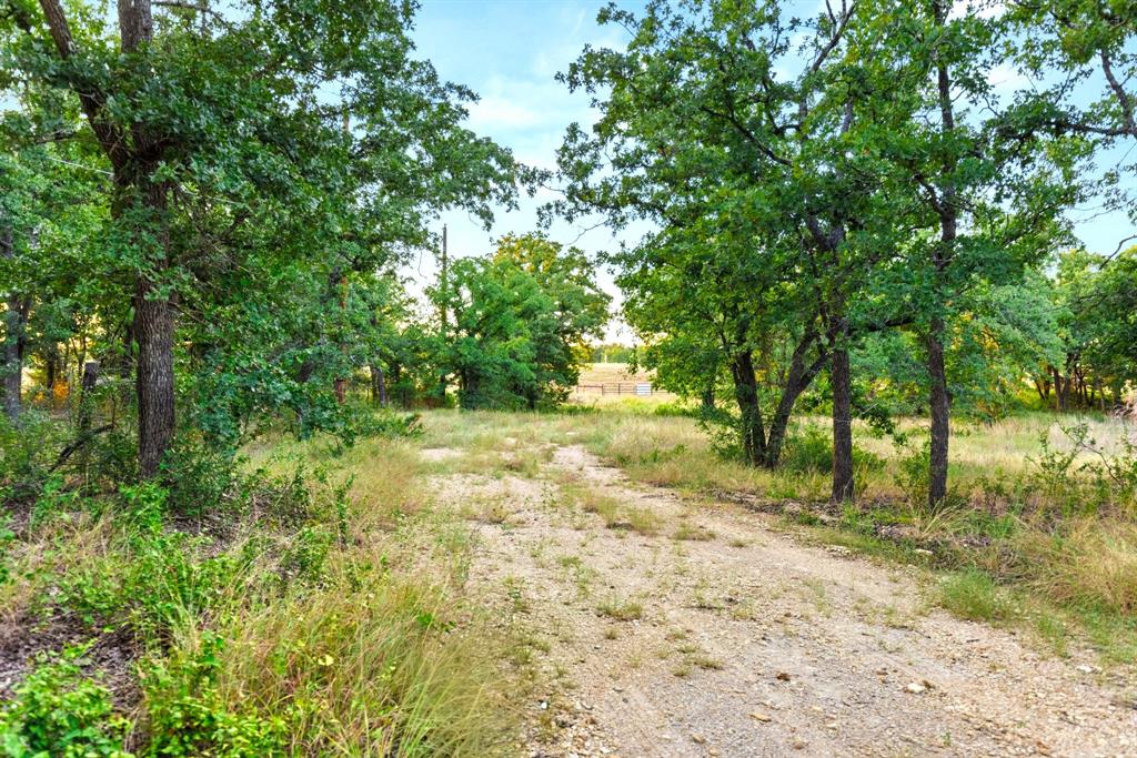 Longhorn Parkway & Highway 31 - Photo 13