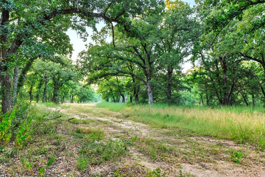 Longhorn Parkway & Highway 31 - Photo 14