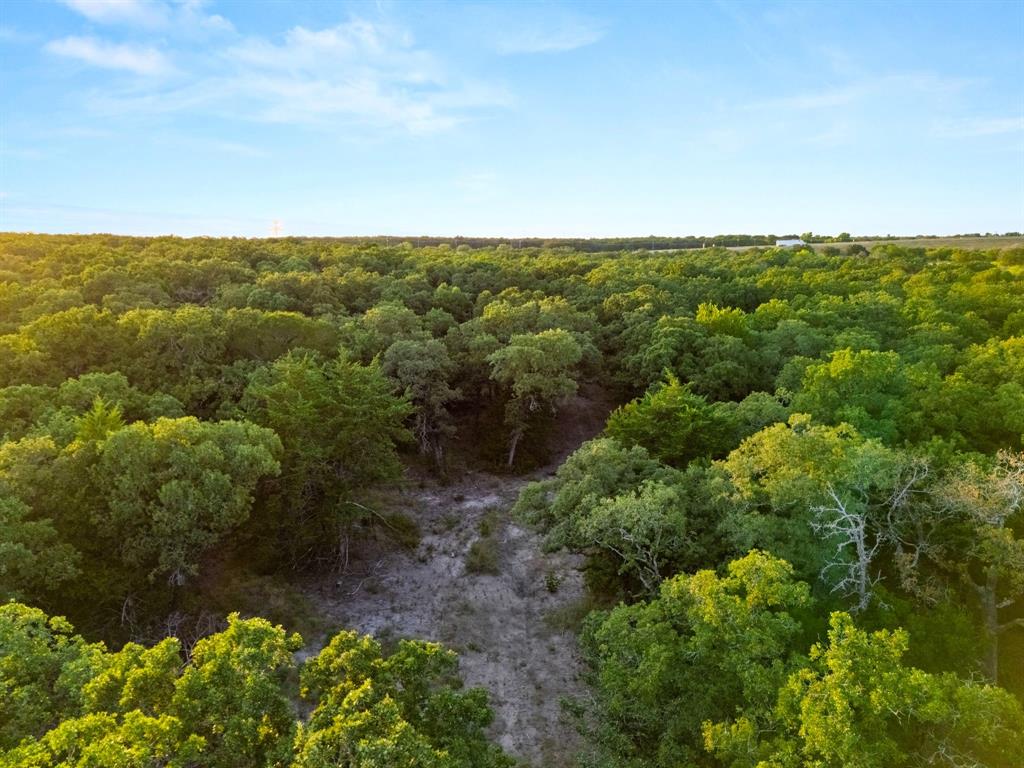 Longhorn Parkway & Highway 31 - Photo 16