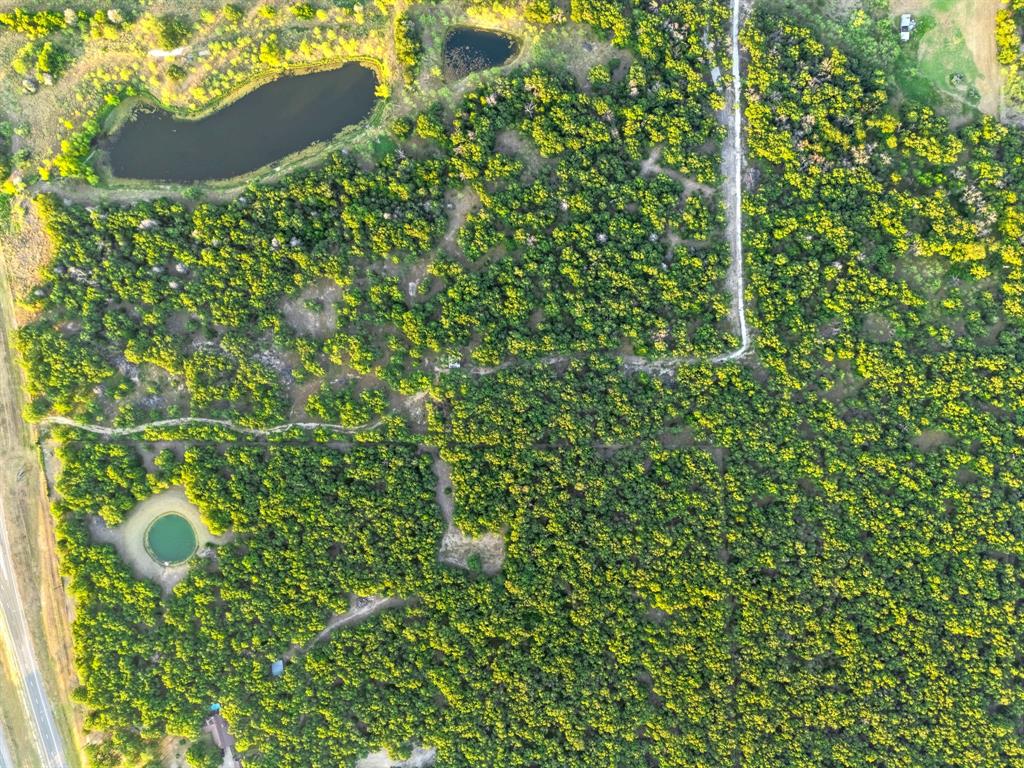 Longhorn Parkway & Highway 31 - Photo 18