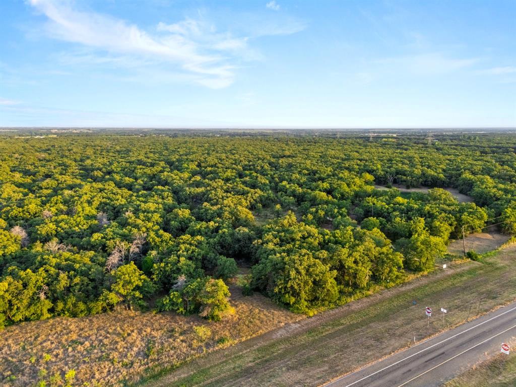 Longhorn Parkway & Highway 31 - Photo 20