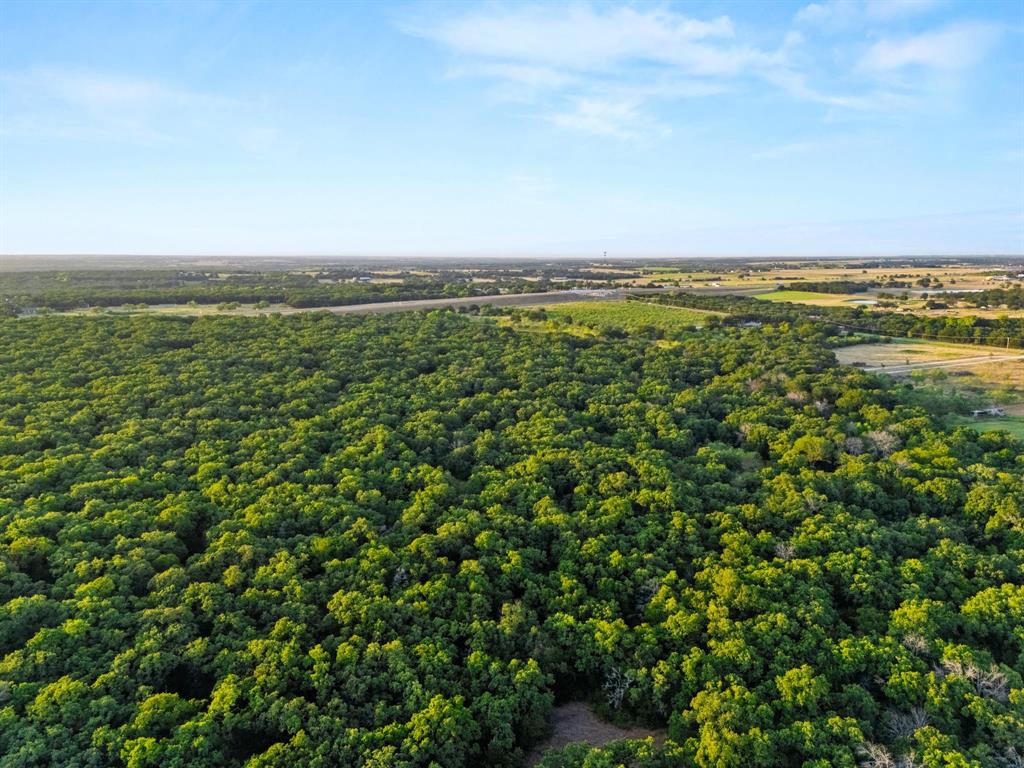 Longhorn Parkway & Highway 31 - Photo 21