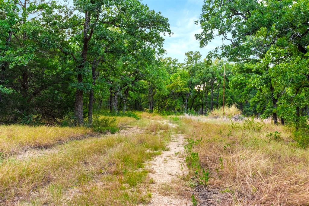 Longhorn Parkway & Highway 31 - Photo 3