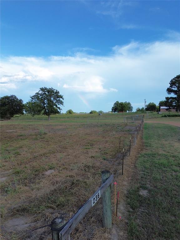 0 Grant Prairie Road - Photo 4