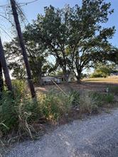 0 Pin Oak - Photo 4