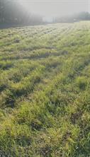0000 Fm-2728 Road - Photo 11
