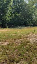 0000 Fm-2728 Road - Photo 12
