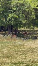 0000 Fm-2728 Road - Photo 14