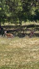 0000 Fm-2728 Road - Photo 15