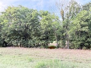 0000 Fm-2728 Road - Photo 2
