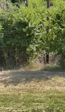 0000 Fm-2728 Road - Photo 4