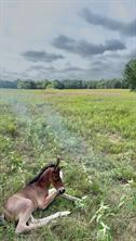 0000 Fm-2728 Road - Photo 6