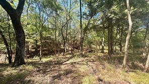 383 RS County Road 1605 - Photo 10