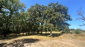 383 RS County Road 1605 - Photo 4
