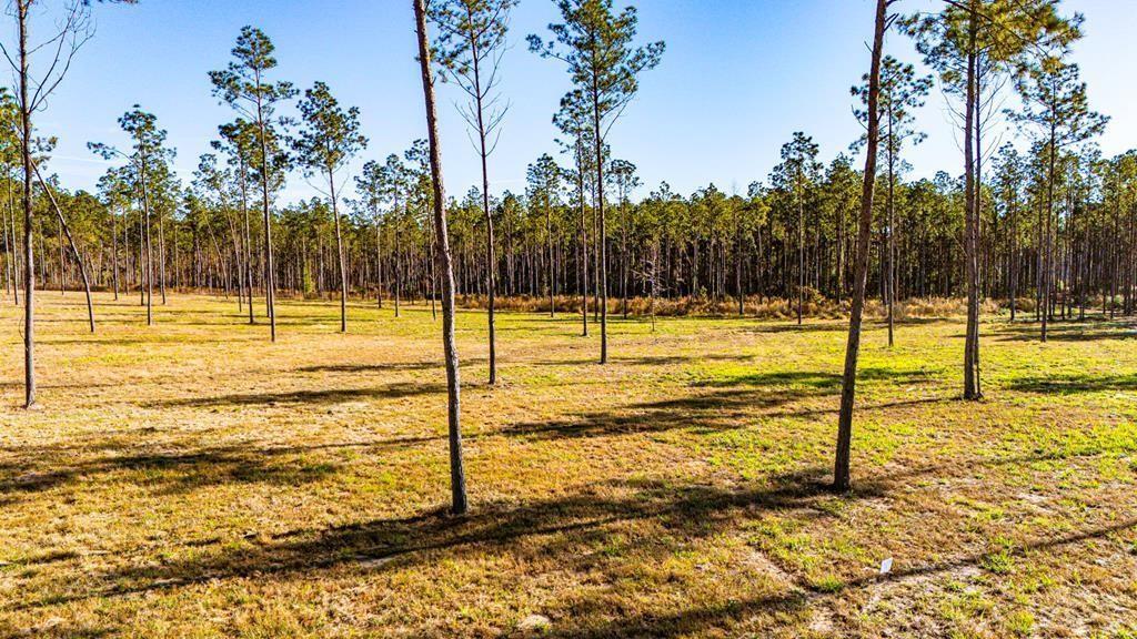 19 Big Buck Drive - Photo 1