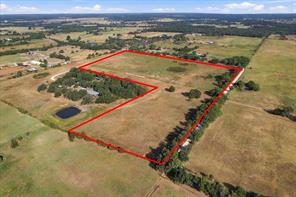 4570 County Road 123 - Photo 6