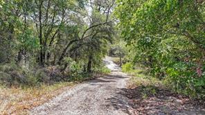 1045 Shiloh Sharps Landing - Photo 12