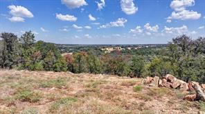 1045 Shiloh Sharps Landing - Photo 2