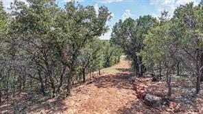 1045 Shiloh Sharps Landing - Photo 36