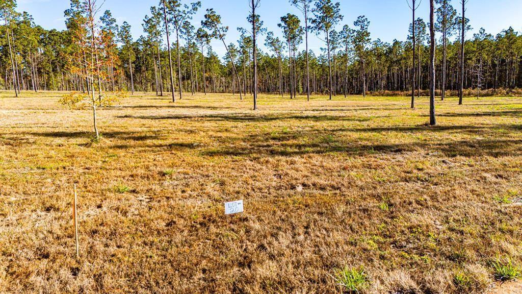 20 Big Buck Drive - Photo 1